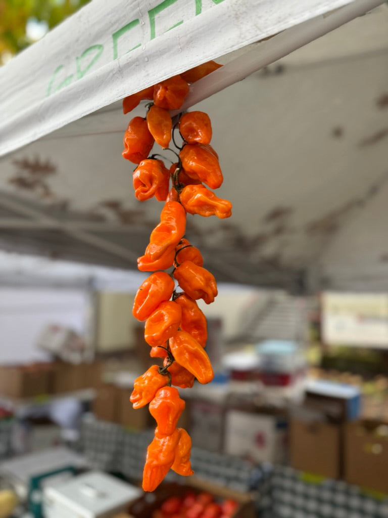 Habanada Limited Edition collab with Durant Olive Oil