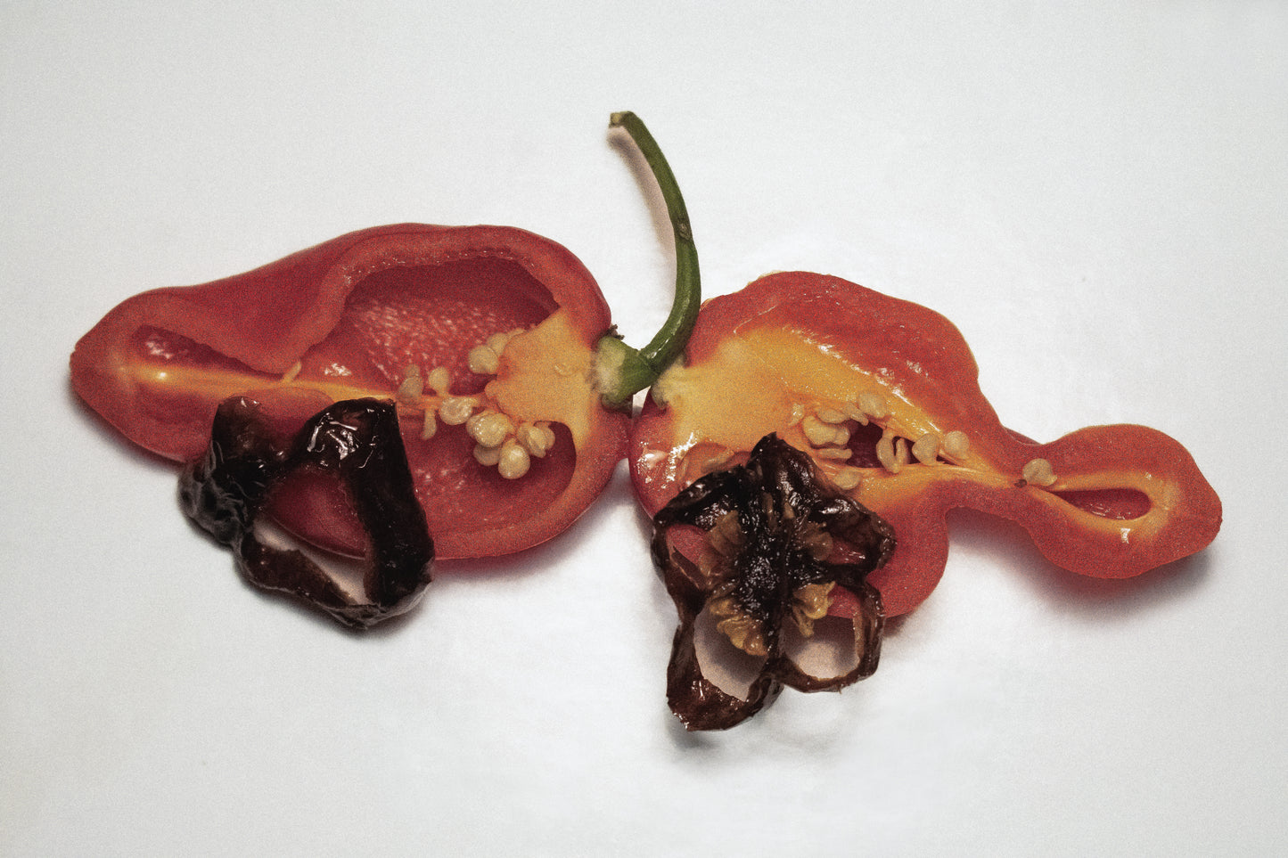 Habanero Chile Crisp in Olive Oil