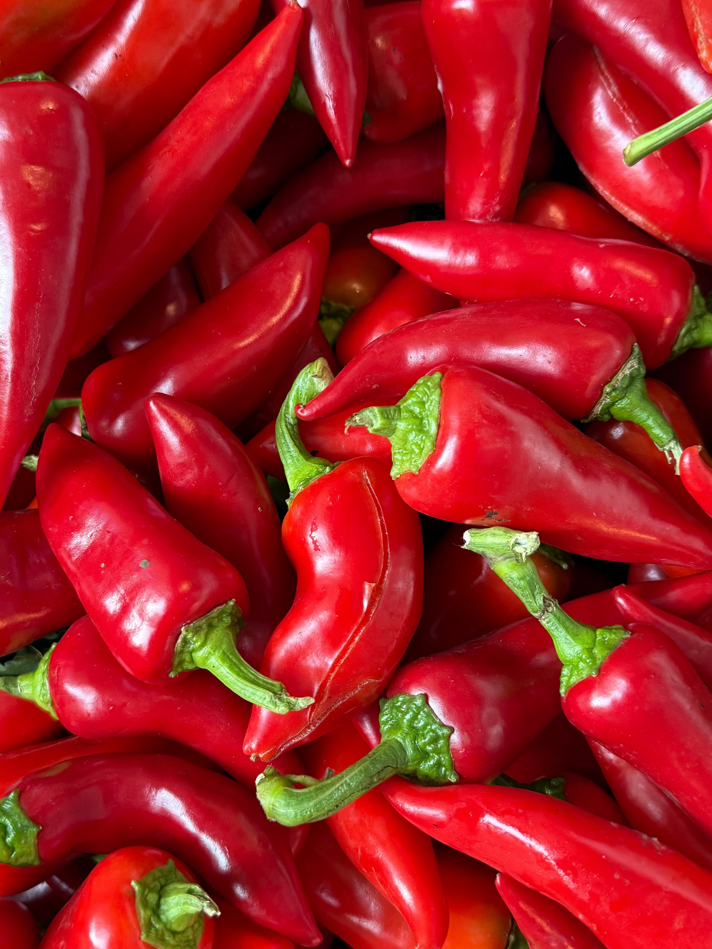 Fresno Limited Edition collab with Durant Olive Oil