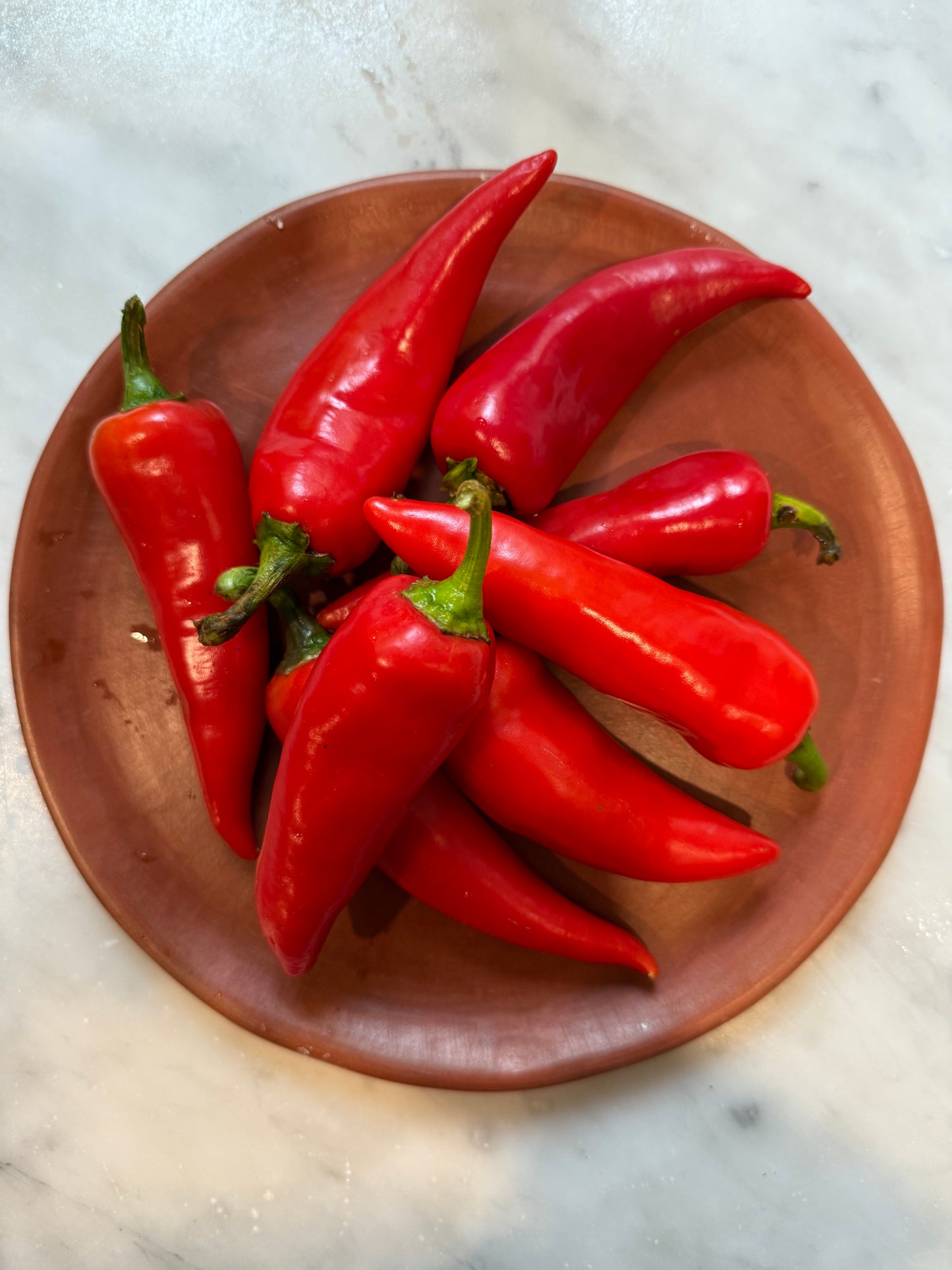 Fresno Limited Edition collab with Durant Olive Oil